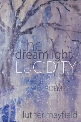 bokomslag Dreamlight Lucidity