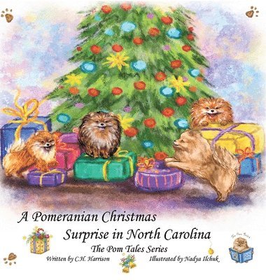 A Pomeranian Christmas Surprise in North Carolina 1