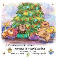 A Pomeranian Christmas Surprise in North Carolina 1