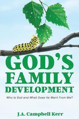 bokomslag God's Family Development
