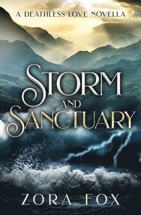 bokomslag Storm and Sanctuary