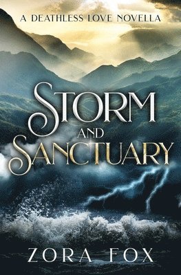bokomslag Storm and Sanctuary