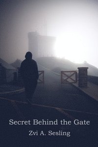bokomslag Secret Behind the Gate
