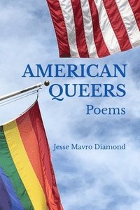 bokomslag American Queers