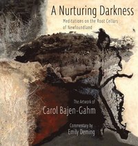 bokomslag The Nurturing Darkness