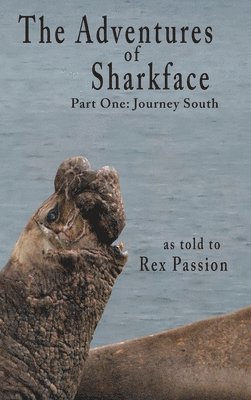 Adventures of Sharkface