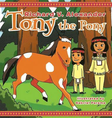 bokomslag Tony the Pony