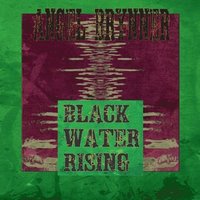 bokomslag Blackwater Rising
