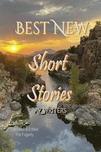 bokomslag Best New Short Stories 2021