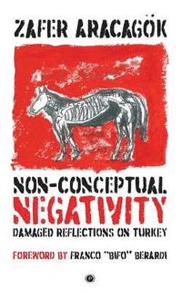 bokomslag Non-Conceptual Negativity: Damaged Reflections on Turkey