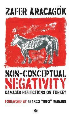 Non-Conceptual Negativity: Damaged Reflections on Turkey 1