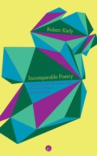 bokomslag Incomparable Poetry: An Essay on the Financial Crisis of 2007-2008 and Irish Literature