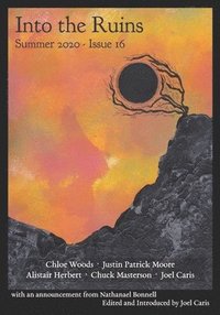 bokomslag Into the Ruins: Summer 2020 (Issue 16)