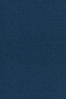 Principles of Quantum Mechanics
