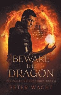bokomslag Beware the Dragon