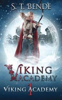 bokomslag Viking Academy: Viking Academy