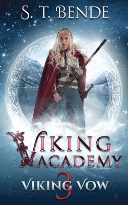 bokomslag Viking Academy