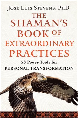 bokomslag Shaman's Book of Extraordinary Practices