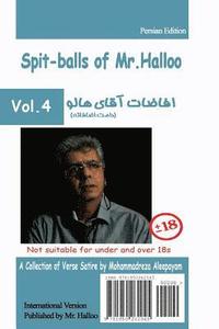 bokomslag Mr Halloo (Book 4)