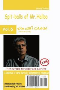 bokomslag Mr Halloo (Book 6)