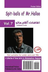 bokomslag Mr Halloo (Book 7)