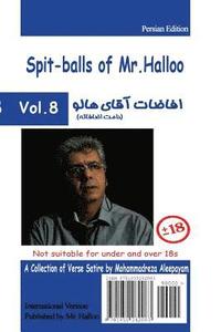 bokomslag Mr Halloo (Book 8)