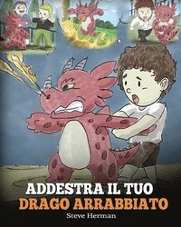 bokomslag Addestra il tuo drago arrabbiato