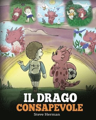 bokomslag Il drago consapevole