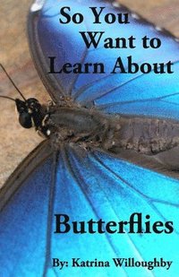 bokomslag So You Want to Learn About Butterflies