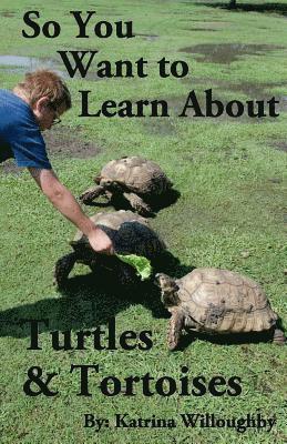 So You Want to Learn About Turtles & Tortoises 1