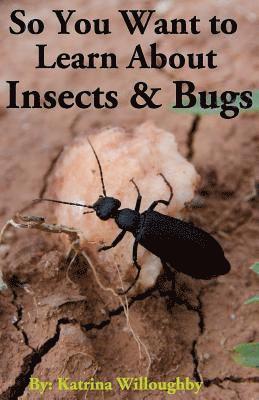 So You Want to Learn About Insects & Bugs 1