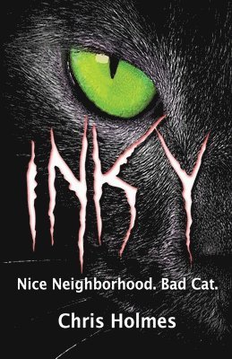 bokomslag Inky: Good Neighborhood. Bad Cat.
