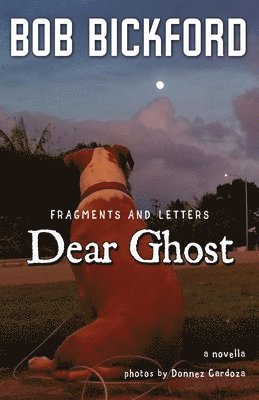 bokomslag Dear Ghost