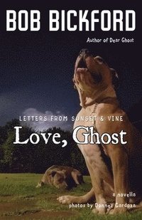 bokomslag Love, Ghost