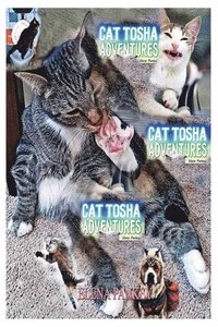 bokomslag Cat Tosha Adventures
