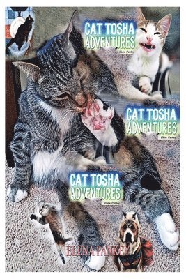 Cat Tosha Adventures 1