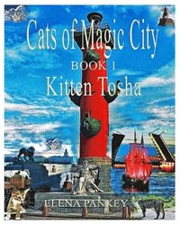 bokomslag Cats of Magic City