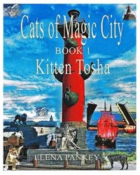 bokomslag Cats of Magic City