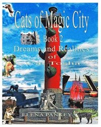 bokomslag Cats Of Magic City