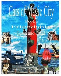 bokomslag Cats of Magic City