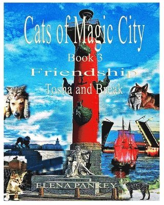 Cats of Magic City 1
