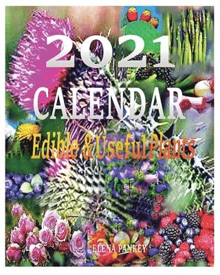 bokomslag Calendar 2021