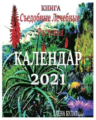 &#1050;&#1085;&#1080;&#1075;&#1072;. &#1050;&#1072;&#1083;&#1077;&#1085;&#1076;&#1072;&#1088; 2021 1