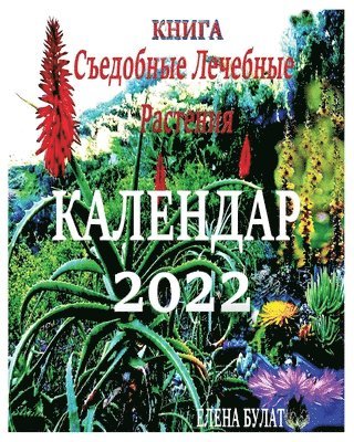 bokomslag &#1050;&#1085;&#1080;&#1075;&#1072;. &#1050;&#1072;&#1083;&#1077;&#1085;&#1076;&#1072;&#1088; 2022