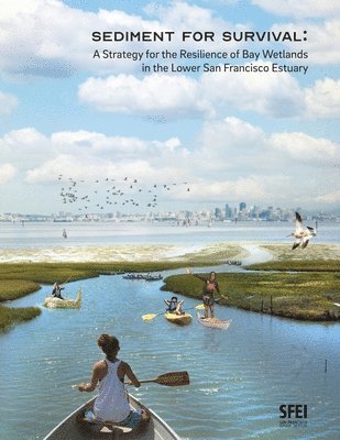 bokomslag Sediment for Survival: A Strategy for the Resilience of Bay Wetlands in the Lower San Francisco Estuary