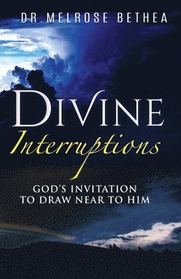 bokomslag Divine Interruptions