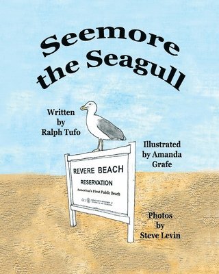 bokomslag Seemore the Seagull