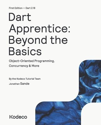 bokomslag Dart Apprentice