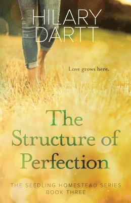 The Structure of Perfection 1