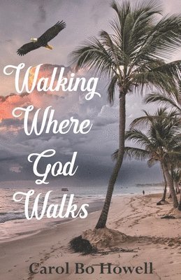 bokomslag Walking Where God Walks